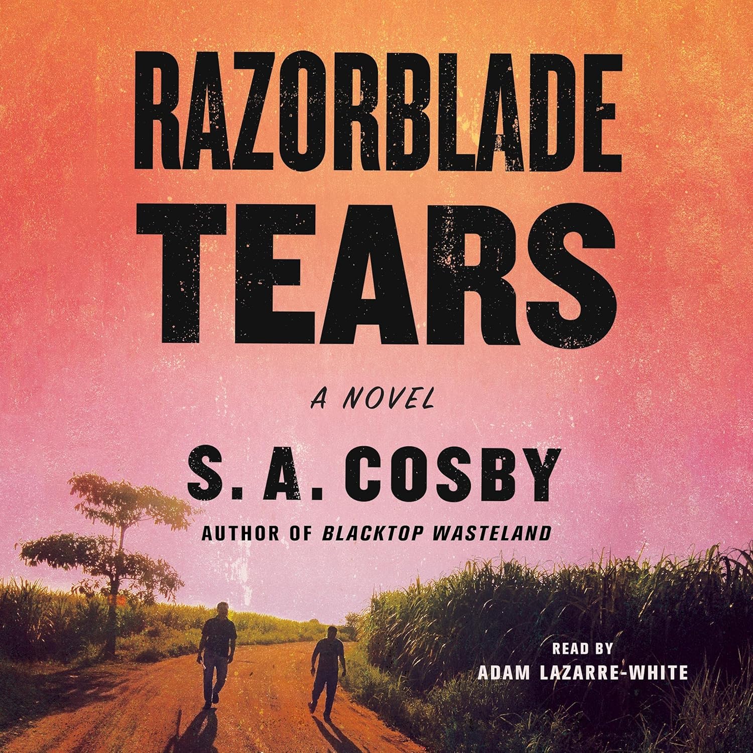 Razorblade Tears By S.A Cosby